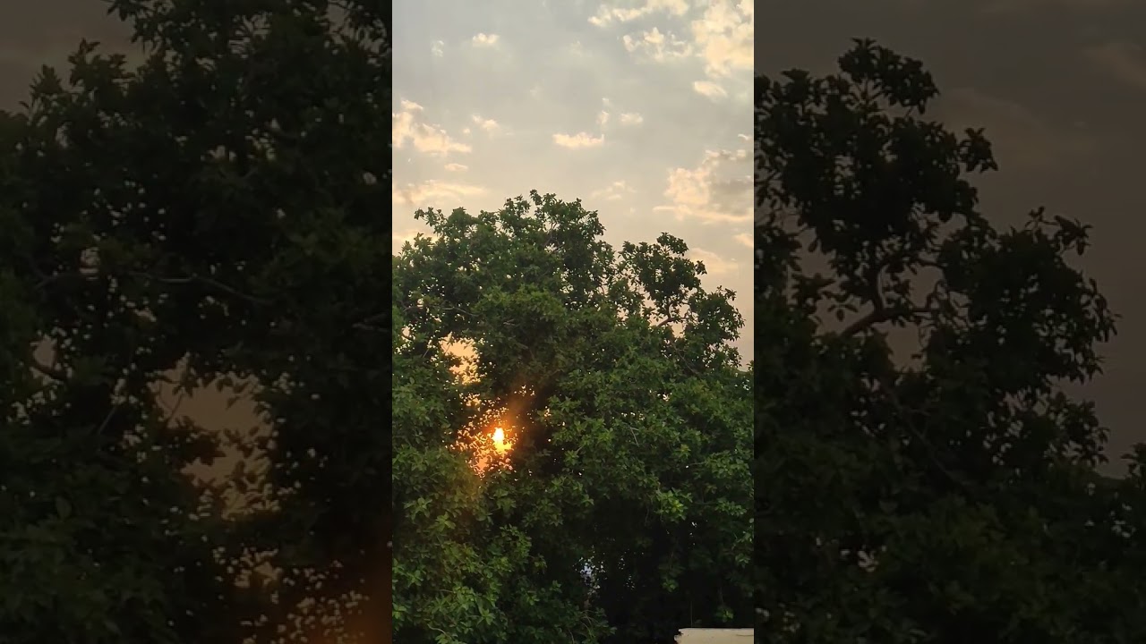 every day is new begning 