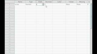 Intro to SPSS Data Editor