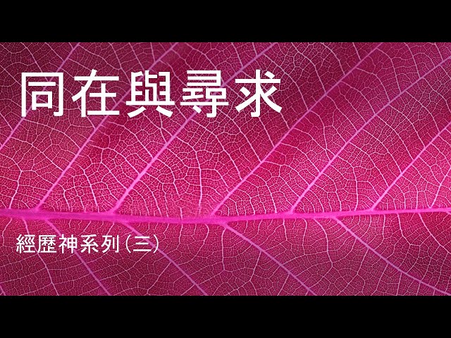 2020年5月24日主日講道：經歷神#3 同在與尋求