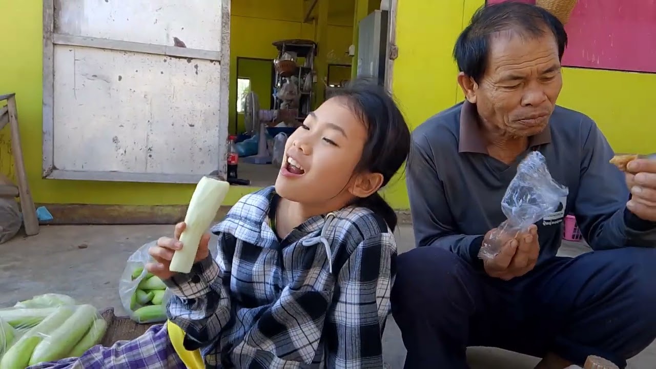 ธิดาลาวเว้าสู่ตาสมหวังฟังในการเดินทางขายหน้าพี่ปรารถนาอีก