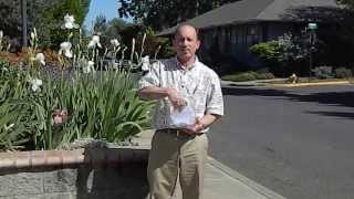 Ashland Insurance referral program: May 2013 winner