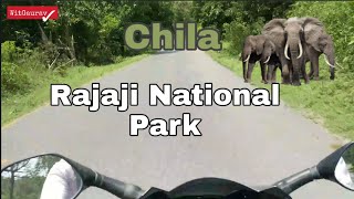 Visit Uttarakhand Rajaji National Park | Chila Forest Range | Uttarakhand Tourism