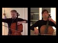 Saint-Saens: Le Cygne. Cello Duo Version