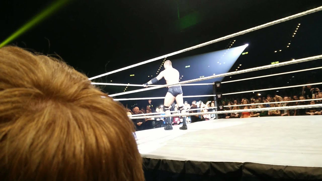 WWE Zürich 18.04.2015 - Randy Orton vs. Seth Rollins (4)