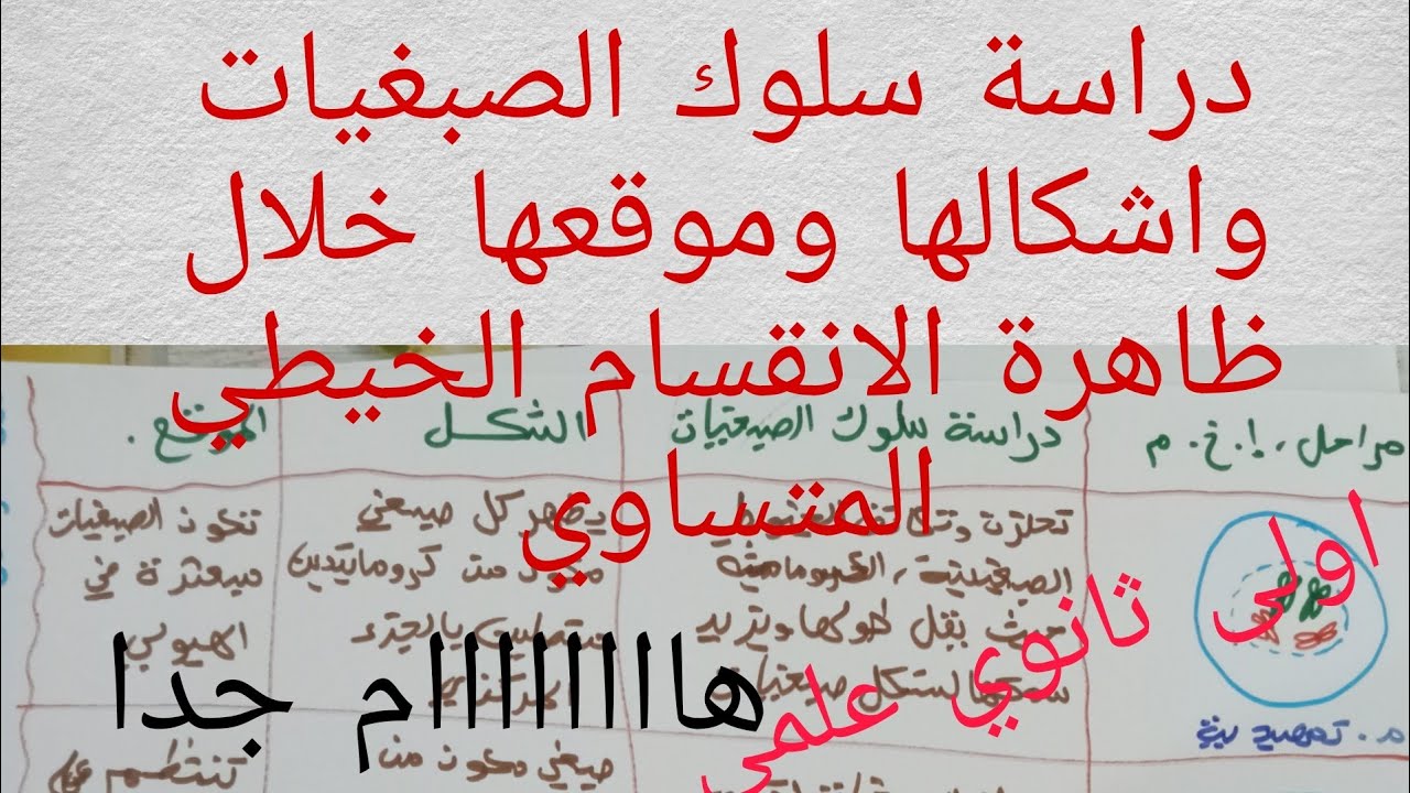 دراسة سلوك الصبغيات واشكالها وموقعها خلال ظاهرة الانقسام الخيطي المتساوي (التضاعف الخلوي)