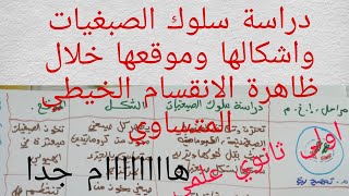 دراسة سلوك الصبغيات واشكالها وموقعها خلال ظاهرة الانقسام الخيطي المتساوي (التضاعف الخلوي)