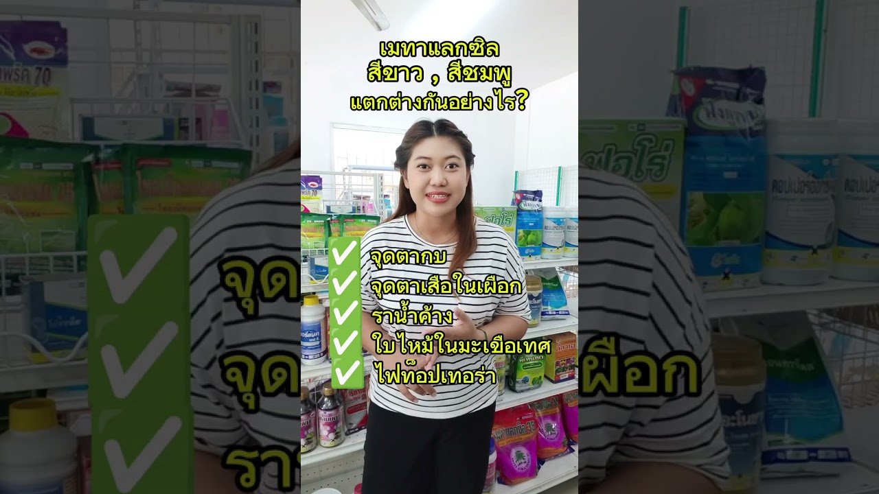 เมทาแลกซิล มีกี่สี? คุณสมบัติแตกต่างกันอย่างไร?? | ยาเชื้อรา