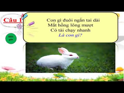 Tiếng Việt Khối 2 Phần 2 Tuần 27 Và 28 Từ 11/5/2020 - 22/5/2020
