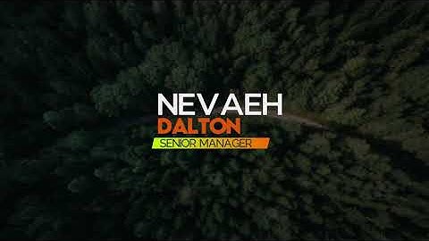 Lower Third Animation   Dynamic Shape for After Effects 2024