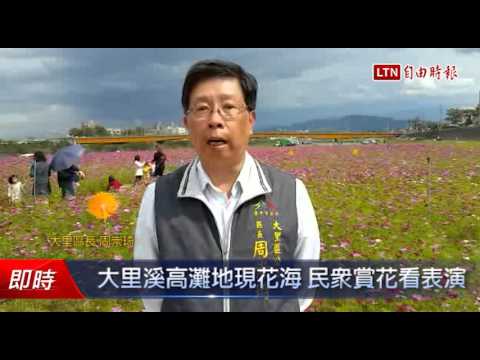 大里溪高灘地現花海 民眾賞花看表演 - 大里溪高灘地現花海 民眾賞花看表演