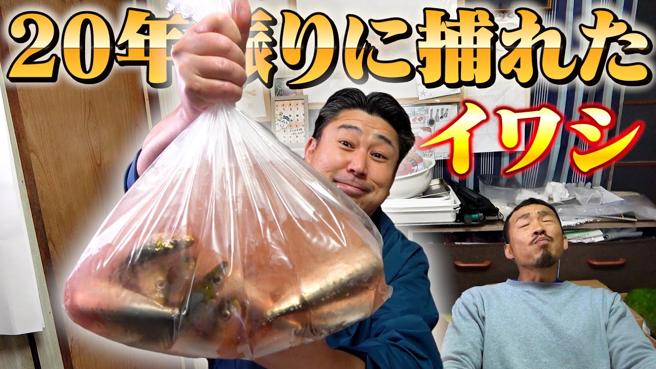 【20年ぶり】有明海で水揚げされたイワシで寿司・蒲焼・タタキを作ったら神回だった