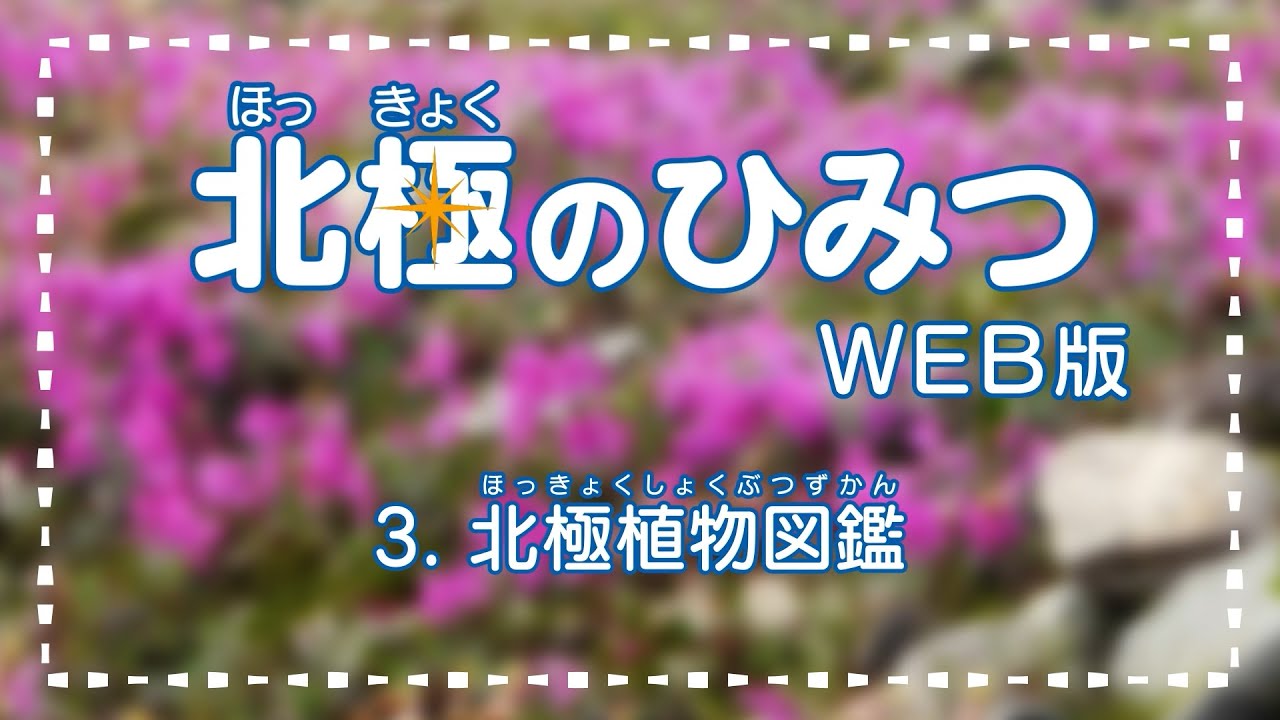 北極のひみつweb版 第3話 北極植物図鑑 Youtube