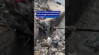 Piles of waste in Gaza pose 'ticking bomb' | DW News