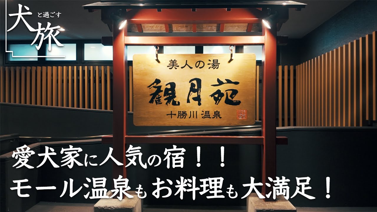 【観月苑｜十勝川温泉】愛犬と宿泊！北海道屈指の名湯モール温泉にお料理にお部屋に大満足！