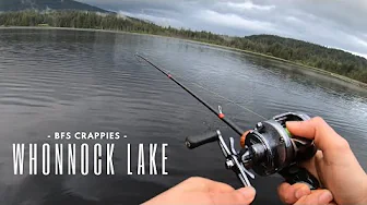 BFS CRAPPIE FISHING | WHONNOCK LAKE | TSURINOYA DARK WOLF ULTRA | IFISHBAND TENDERSHOOT