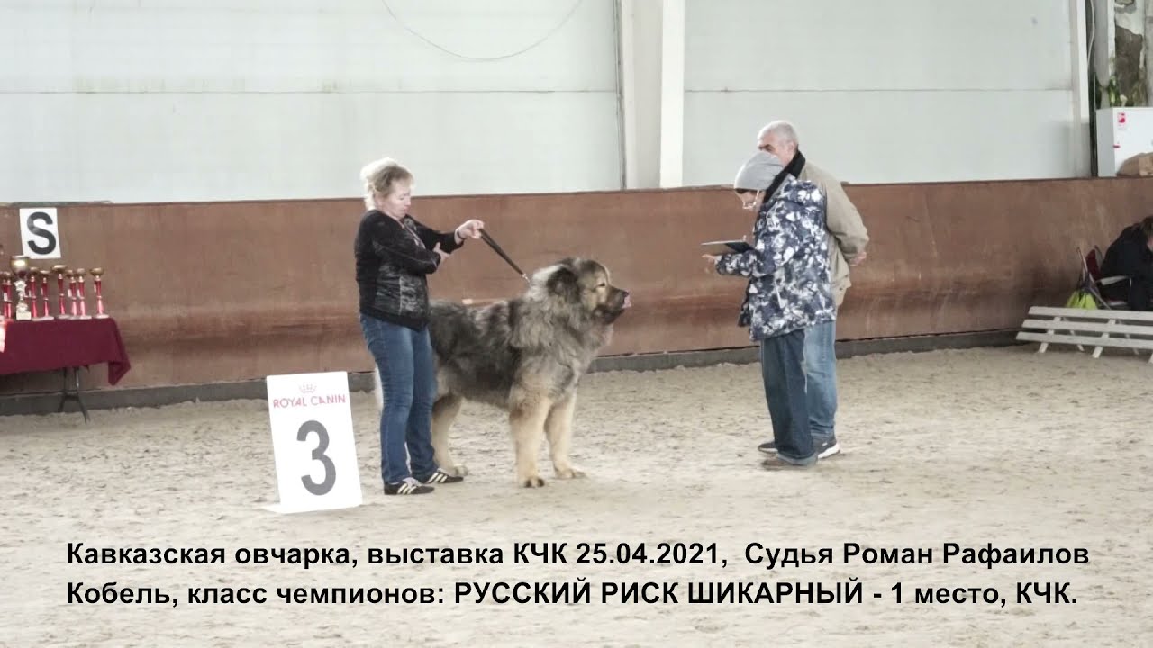 Расписание монопородных выставок