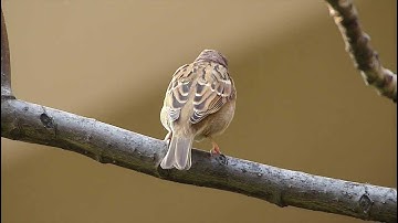 Tsing Yi Park 2014 Jan 720P