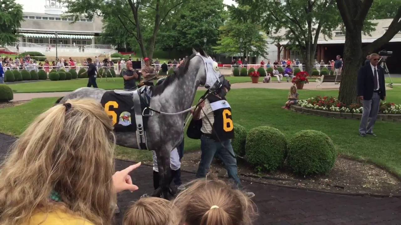 Arlington International Racecourse Seating Chart