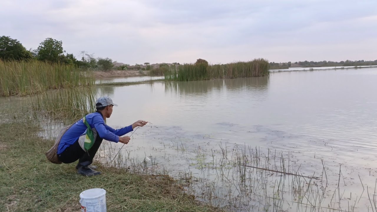 ใส่เบ็ดเหยื่อแมงจีซอน ในหนองใหญ่ งานนี้ได้ลาบ