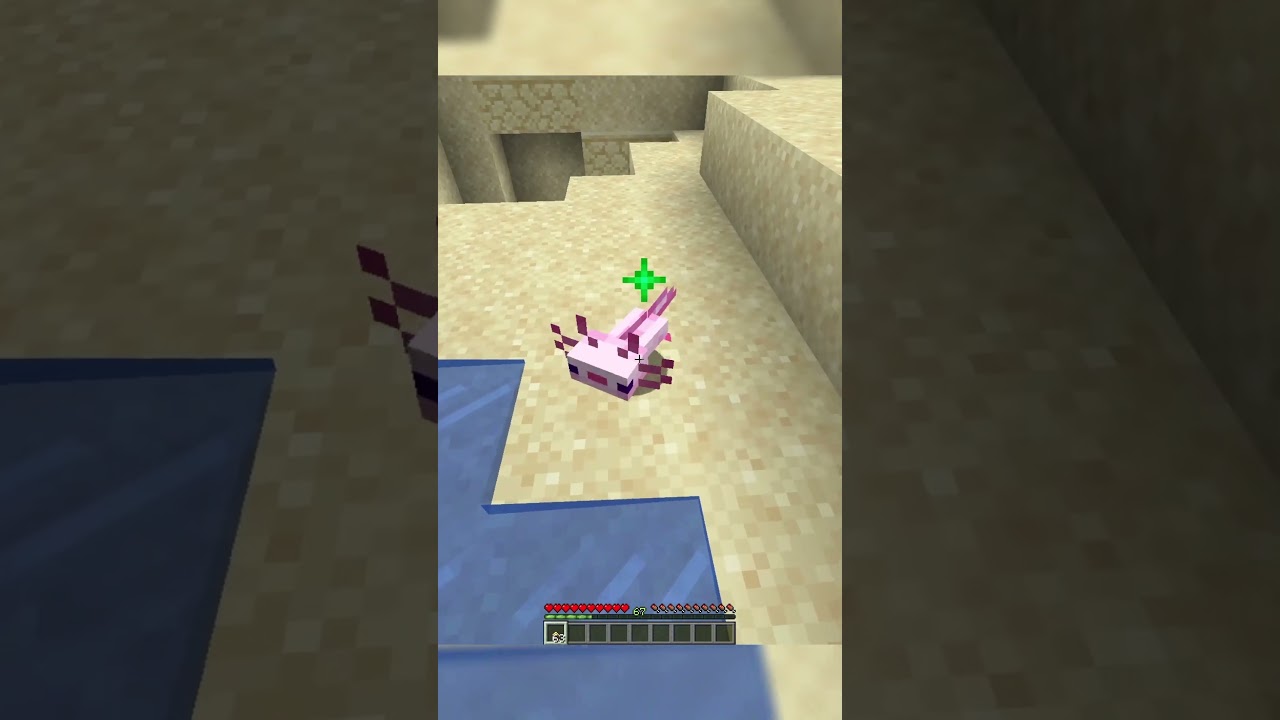 New Golden Dandelion in Minecraft