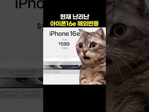 현재 난리난 아이폰16e 해외 반응🔥