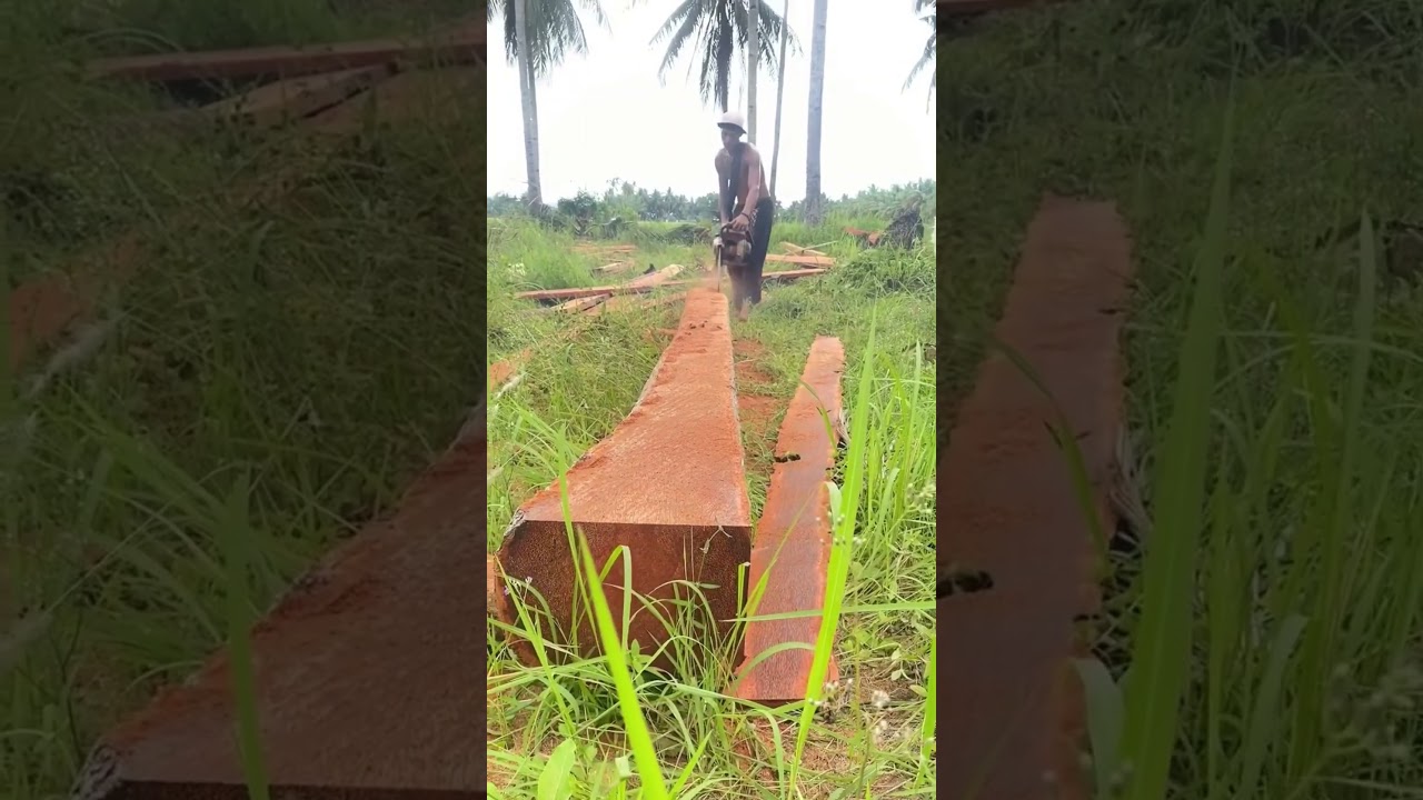 proses pembuatan papan #automobile #asmrvideo #woodworking