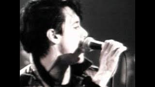 Iggy Pop - Real Wild Child (Wild One)
