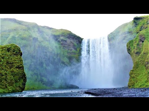 Cascata nella Foresta