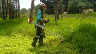 Roçando Com A Roçadeira Sthil - Trabalhando Com Fio De Nylon Em Mato Alto - Braquiara