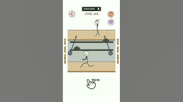 Thief Puzzle Level 143