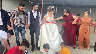 Geli̇n Be Damata Mutluluk Lar Di̇leri̇z }Deri̇kli̇ Hozan Memo 2021 Resimi