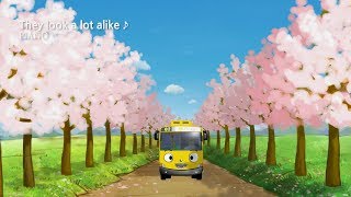 Tayo Piano Music l They Look A Lot Alike l Piano music for studying and sleeping screenshot 5