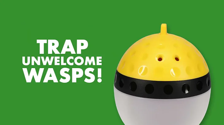 How To Kill Wasps and Hornets | Spectracide® Wasp, Hornet & Yellowjacket Trap