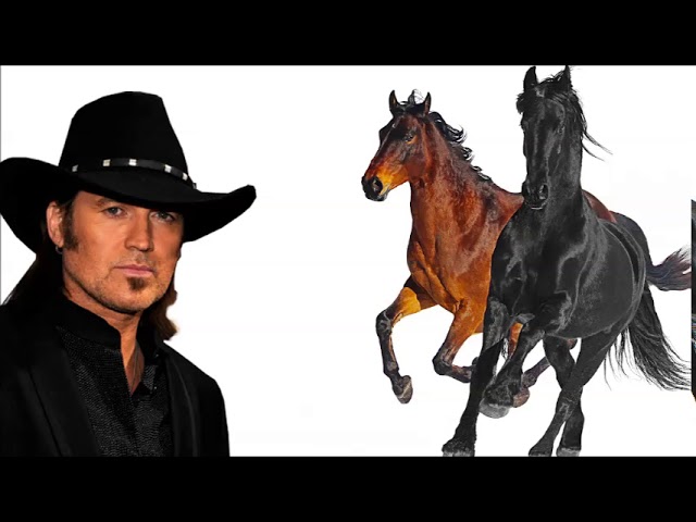 Old Town Road but it's only Billy Ray Cyrus