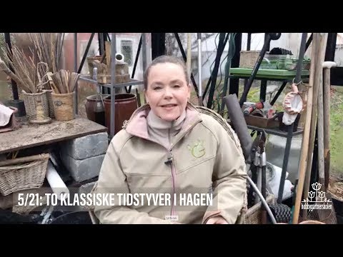 Video: Hva er tidstyveri på internett?