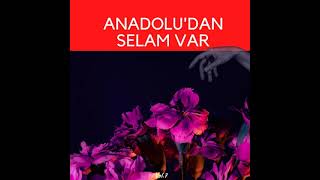 Kiraz Dalı & Enstrümantal