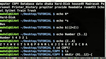 Bangla Linux Command Line Tutorial 10 echo and 10000 directory creat