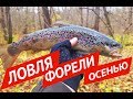 ЛОВЛЯ ФОРЕЛИ В НОЯБРЕ 2018 | ФОРЕЛЕВАЯ РЕЧКА В ЛЕСУ