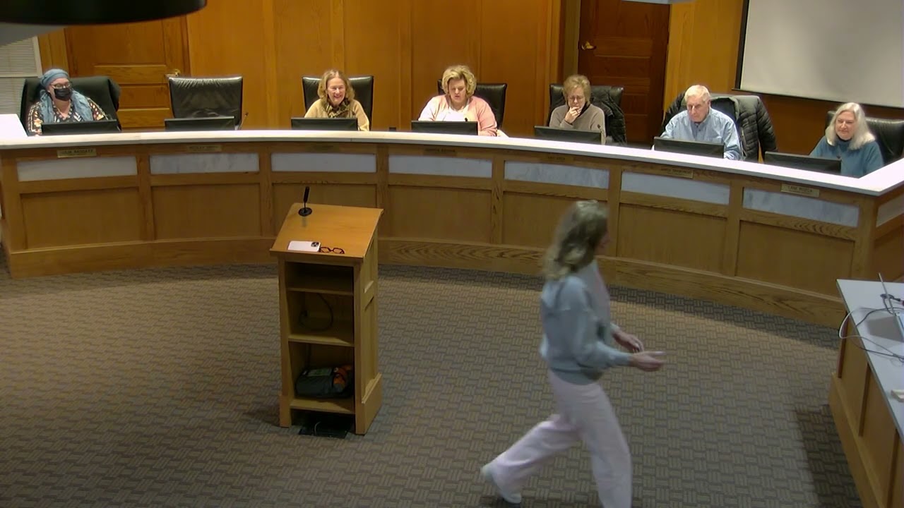 Manistee City Council Meeting 2026-02-03