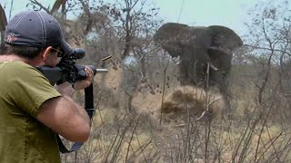 صيد فيل غاضب في أفريقيا بالبنادق 😱🔥👍👌 الجزء ا1