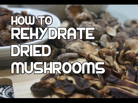 How to Rehydrate Dried Mushrooms - Re-Hydrating Reconstitute - Best Mushroom