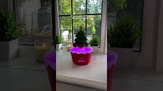 🎄🌿 Lucky Tree Aromatherapy Diffuser | Essential Oil Humidifier with Remote & Timer ✨