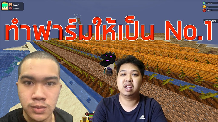 (🔴Live) ฟาร์มของแบบตึงๆ เซิร์ฟพี่ มาลี กับ  King SoYer  / minecraft