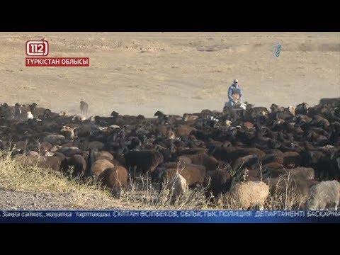 Бейне: Бала ұрлығының себептері және алдын-алу