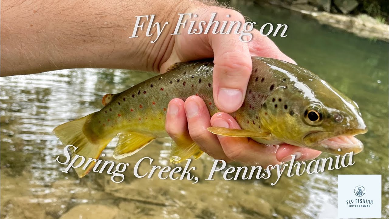 August Fly Fishing - Spring Creek, Pennsylvania