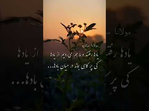 مریدان مولانا هنگامی که دیدند او شیفته شمس است و به ان ها توجه نمی کند به فتنه جویی روی آوردند