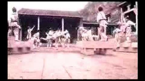 Shaolin Vs Evil Dead : Ultimate Power (2006) - Trailer