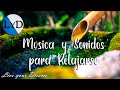 Música Relajante para Meditar | Música de Relajación y Meditación | Música para Relajarse, Dormir