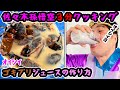 佐々木孫悟空３分クッキング「美味しいゴキブリジュースの作り方」