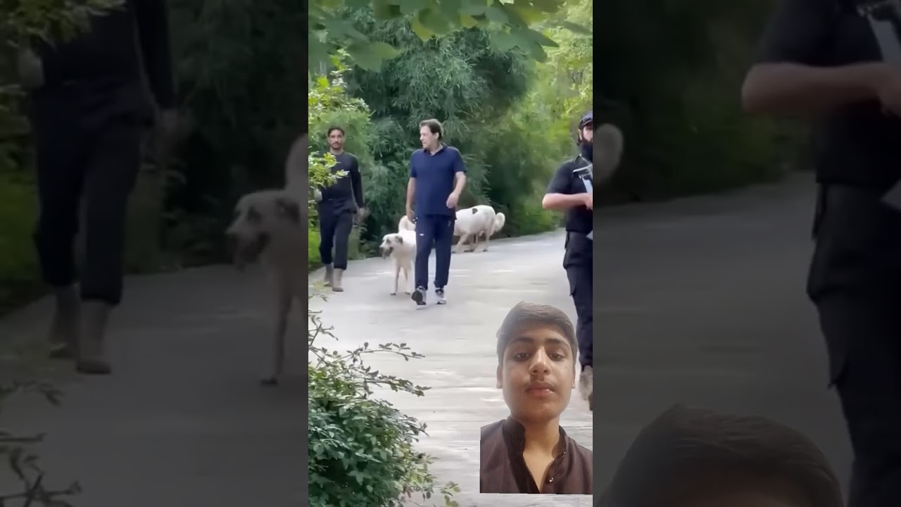 reaction on video #pti #imrankhan #imrankhanpti